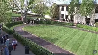 Keeneland Live Feed