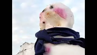 Архангельские снеговики 18+
