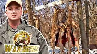 Wardens: Archery and Firearm Deer | FD Real