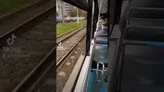 Долгожданная встреча