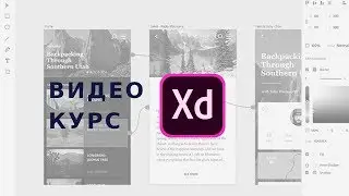 Введение в Adobe XD  | Курс Adobe XD от Школы BeAnalyst