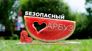 Как выбрать арбуз? Сколько съесть? Как хранить?