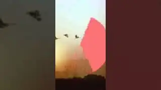 Они вернутся(Журавли...)