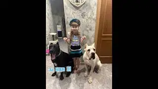 Кане-Корсо #белый #чёрный за ВДВ
