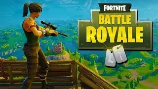 Fornite battle royale new c4 and lamas