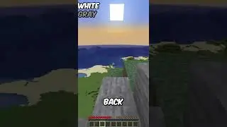 Minecraft, but you CAN'T Touch the same Block twice