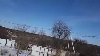 Сад_0303