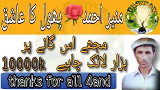 Muneer ahmad phool ka shiq new song 2021 #KohistaniSongs #kohistanisong2021 @kohistanisong