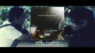 YoloHap - La Oveja Mas Quemada 2 Ft. Palma (Audio Official).