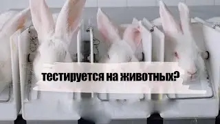 Корейская косметика ТЕСТИРУЕТСЯ НА ЖИВОТНЫХ?