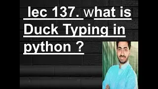 what is Duck Typing in python ?