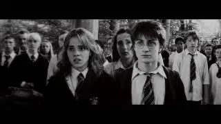 harry and hermione +ginny ¦ pacify her