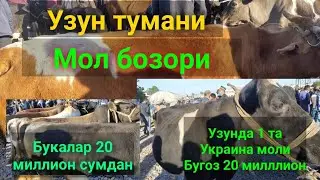 Узун тумани МОЛ бозори. Молларни нархлари. 