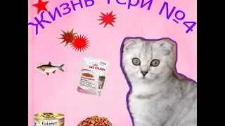 Жизнь Тери №3