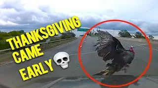 USA Road Rage: Instant Karma and Car Crashes, 2023 | (656)