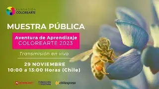 Muestra Pública Colorearte 2023 (29 nov) Día 1