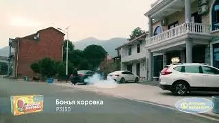 Летающие фейерверки Божья коровка Р3150