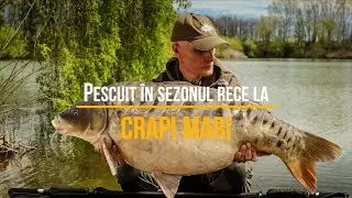 Pescuit in sezonul rece la crapi mari