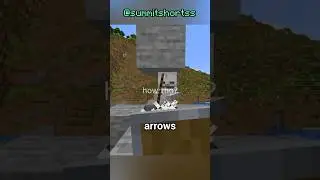 How Many Arrows Can A Shield Actually Block?