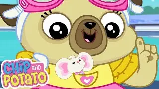 Chips lección de natación espectacular | Chip and Potato Español | Mire más en Netflix | WildBrain