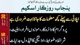 Punjab Rozgar Scheme 2020 , Criteria , Scope, Schedule, Instructions For Online Apply Complete Info