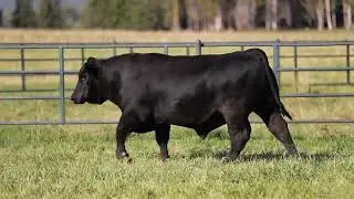 Lot 80 - Montana Resource 2280