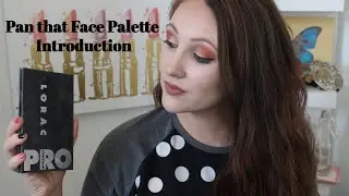 Pan that Face Palette Introduction