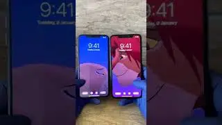 iphone Simba & Nala their first sparkle