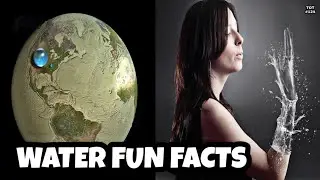 WATER FUN FACTS | TOT#124 | TIPS O TIPS