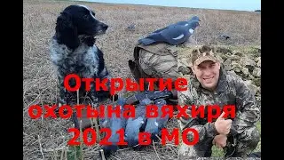 Открытие охоты на вяхиря в 2021 МО МР-155 Pigeon hunting