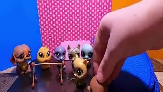lps сериал гимнастка 1 серия