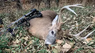 Brute 8 Taken w/ Perfect Shot | Nebraska Archery Hunting