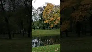 Случилась осень