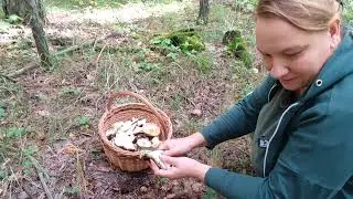ХОРОШО ИЩУ ГРУЗДИ/САША РАЗБИРАЕТ САРАЙ.