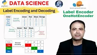 Label Encoding in Python with Scikit-Learn | Transform Data using LabelEncoder & OneHotEncoder