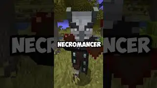 I Started Minecraft's Deadliest Raid (on accident) | Mod is Leo's Illagers by leo4096
