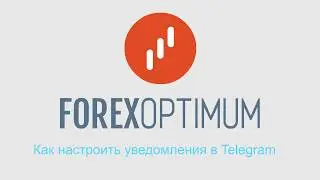 Инструкция Forex Optimum. Как настроить уведомления в Telegram