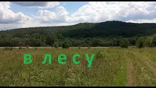 #Красноусольск. На поляне в лесу