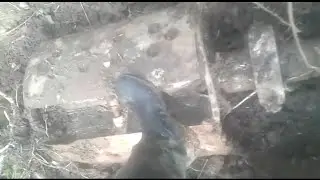 Якорь 