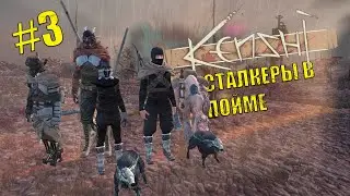 Kenshi. Восстание рабов # 3 Сталкеры Поймы