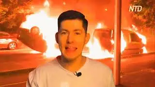 Быдло Бабы