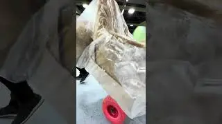 МНИД