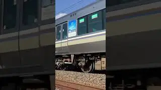 来るまでに間に合わなかった！！！