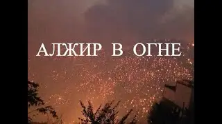Алжир в огне. Кадр Дня. Катаклизмы