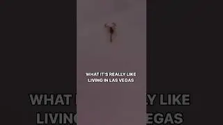 Who wants to come over? #vegas