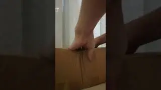 Распаковка блайз)