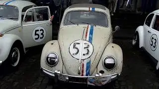Herbie the Love Bug: Flirting with the Public