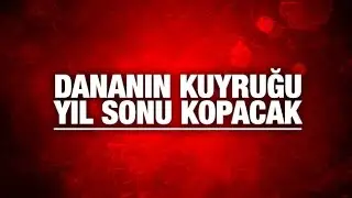 Mehmet Tezkan   DANANIN KUYRUĞU YIL SONU KOPACAK
