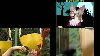 Catboy 2001 Sparta Boy Sparta Remix Quadparison
