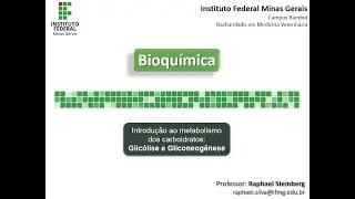 BIOQUÍMICA - IFMG Bambuí- VÍDEO AULA 08: Met. de Carboidratos (Glicólise e Gliconeogênese) - PARTE 3